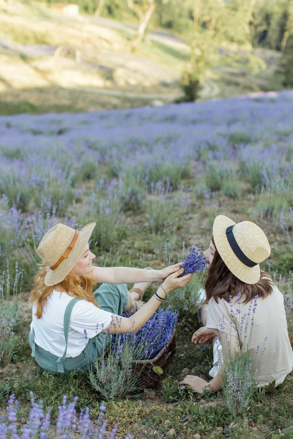 Using Essential Oils for Home Fragrance and Wellness - The Complete Guide - Sage & Grace UK