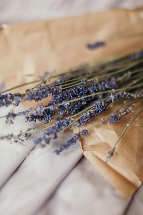 Better Sleep & Restorative Rest - Sage & Grace UK